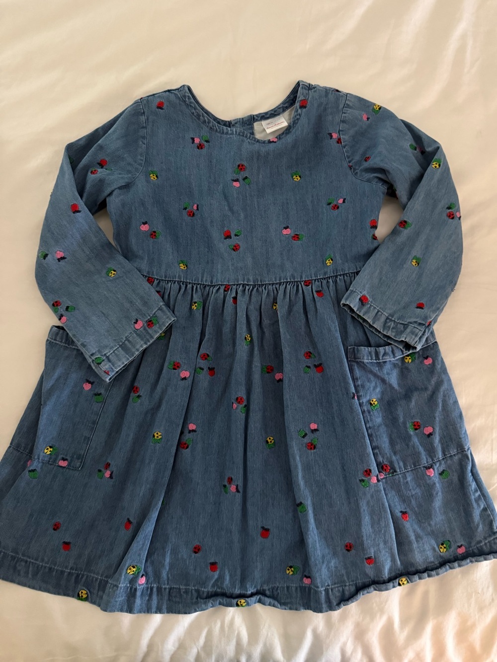 Hanna Andersson Girls 120 (6-7) Embroidered Fruit Ladybug Chambray Denim Dress